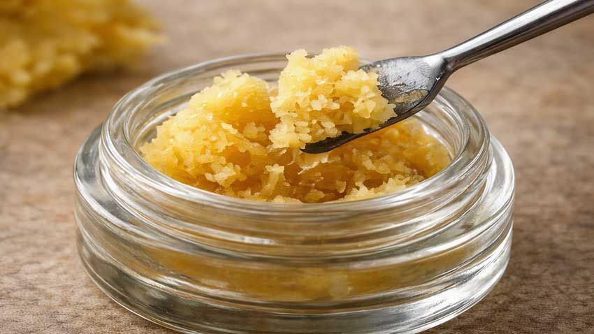 A dab tool lifting golden crumble concentrate from a glass jar. A dab tool lifting golden crumble concentrate from a glass jar.
